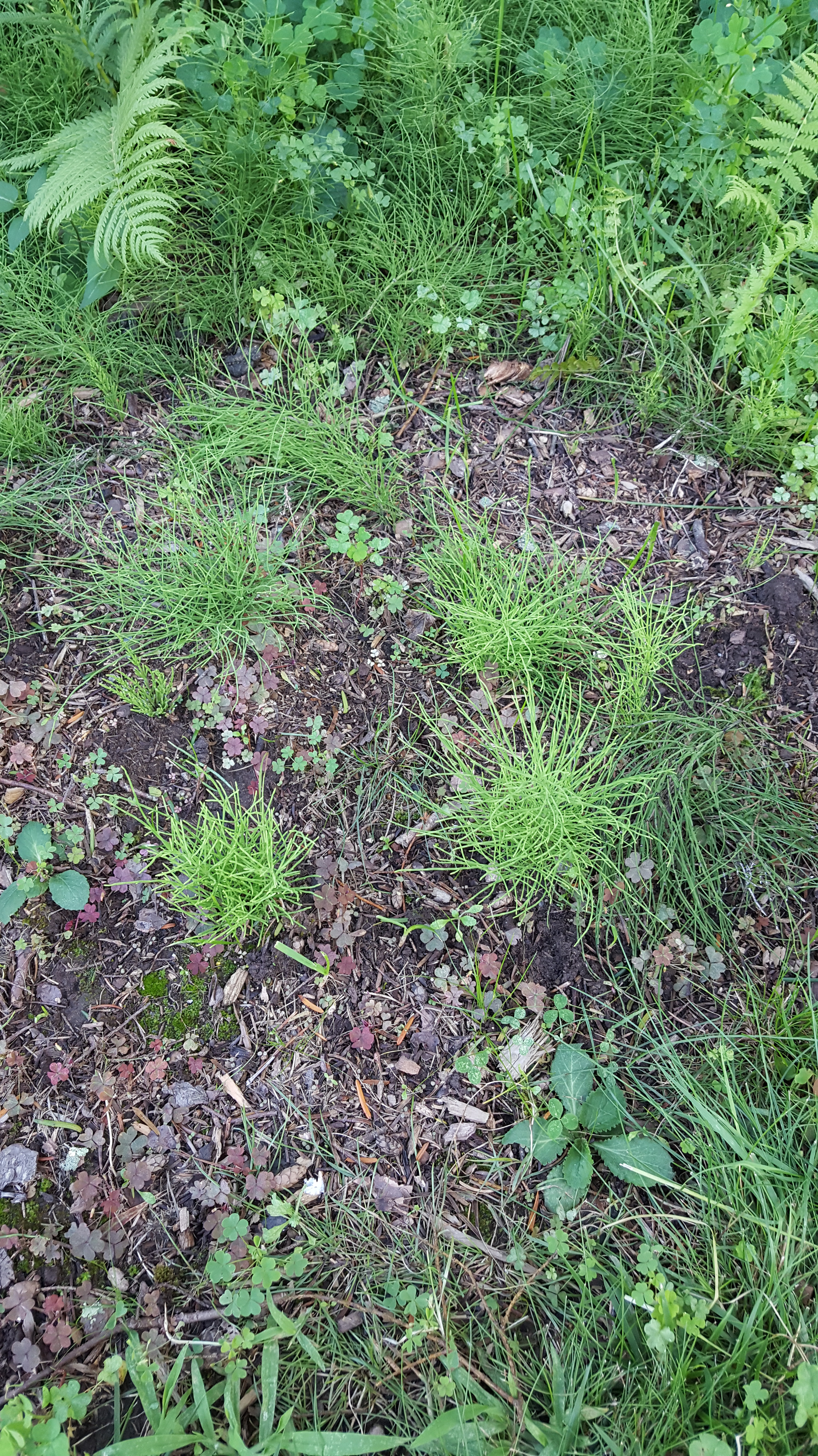 20180726_174702.jpg
