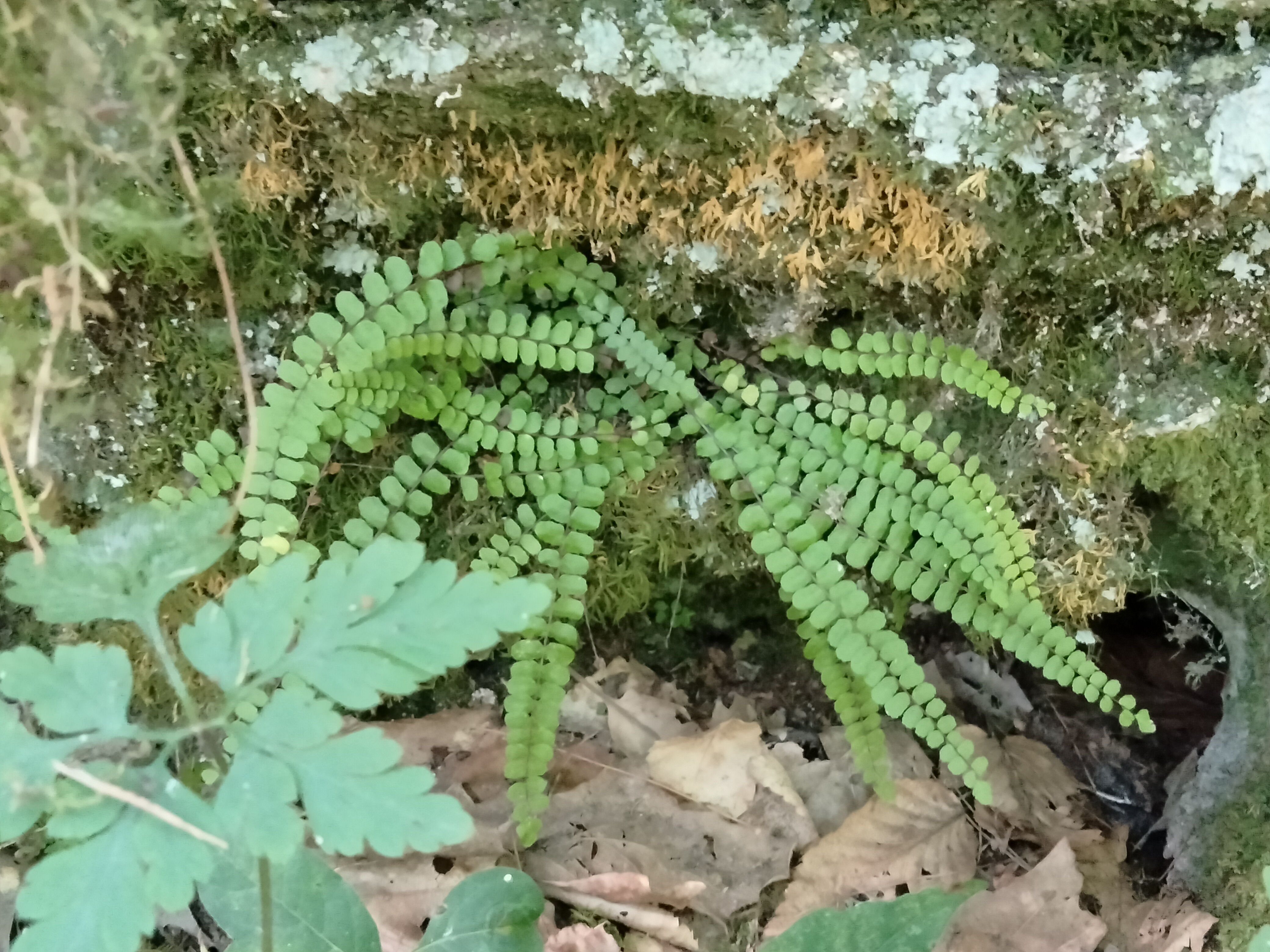 img20220820104629.jpg